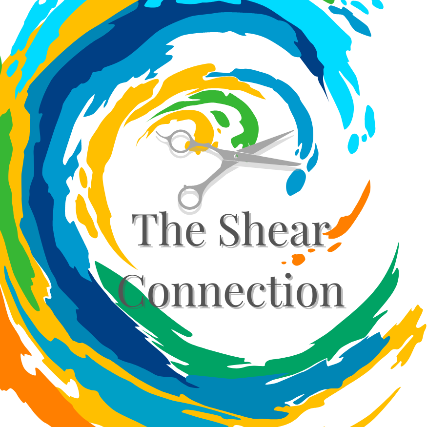 The-Shear-Connection